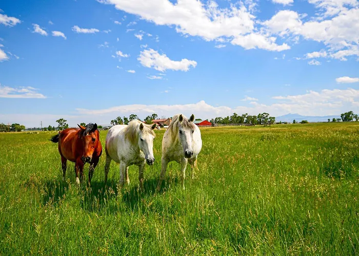 Сasa de vacaciones Private Ranch Retreat W/ Mountain Views! *